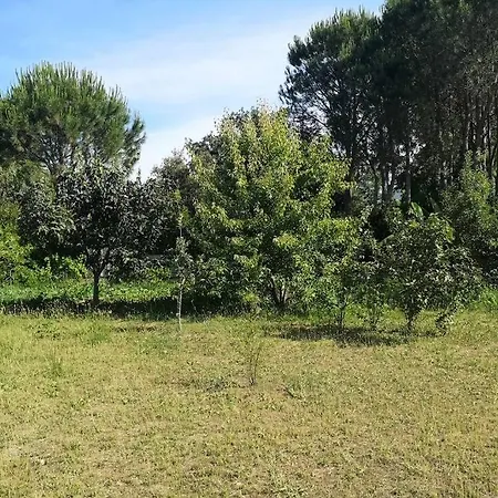 Cottege Pegaso Сasa de vacaciones