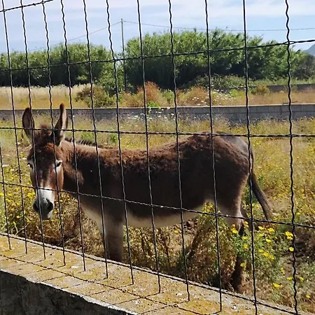 Cottege Pegaso Сasa de vacaciones