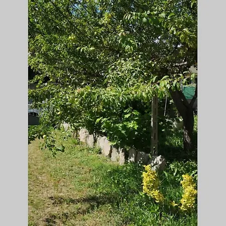 Cottege Pegaso Olbia