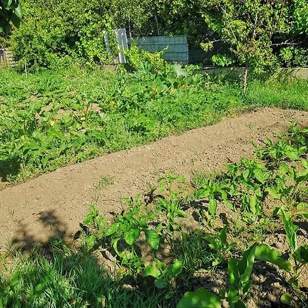 Cottege Pegaso Olbia