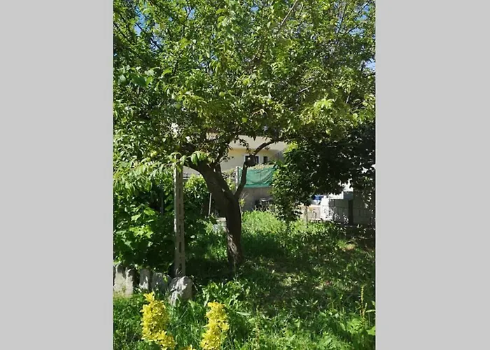 Nyaraló Cottege Pegaso *