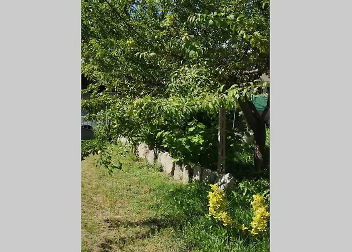 Cottege Pegaso Olbia