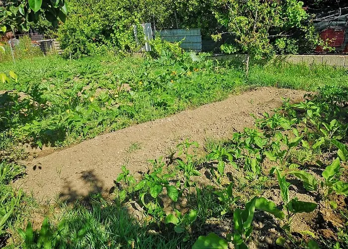 Cottege Pegaso Olbia